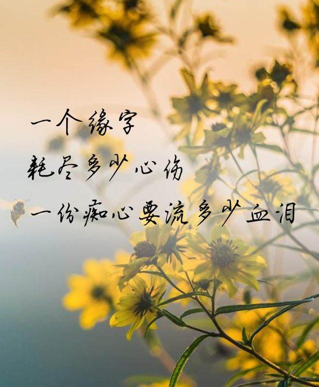 八个字的唯美句子2018最唯美的句子看完醒悟了