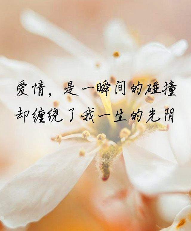 八个字的唯美句子2018最唯美的句子看完醒悟了