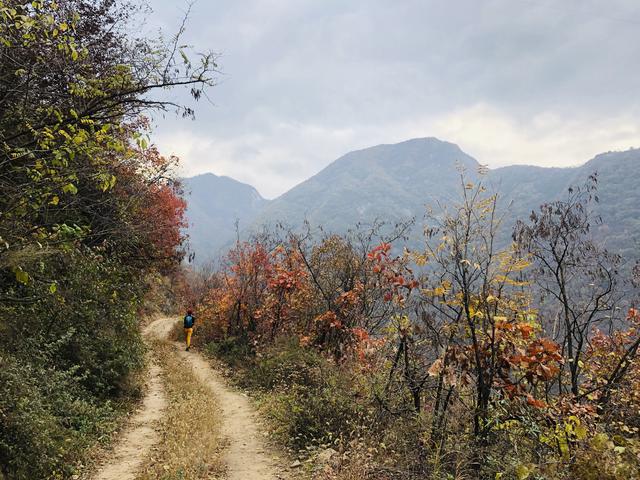 形容一家人温馨的成语秦岭涝峪犁辕坪居住在山中已经渐渐成了许多人一