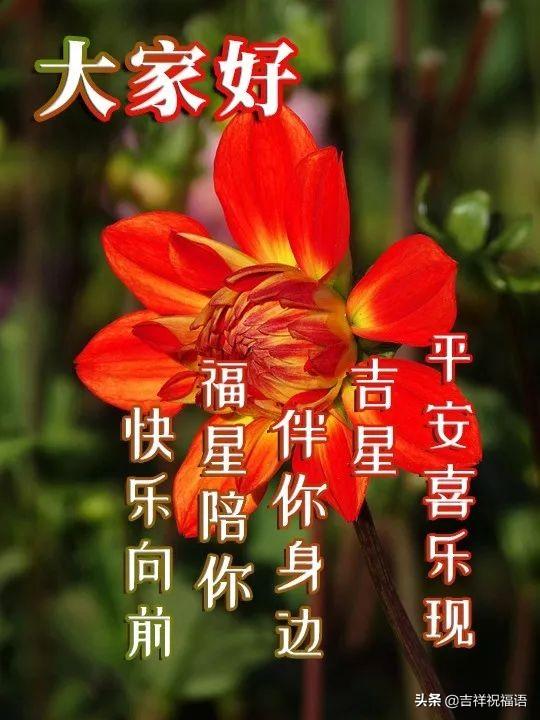 吉祥祝福語12月4最新版早上好特漂亮祝福動態圖片帶字早安暖心祝福