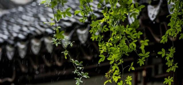 讚美春雨的詩句一起品讀詩詞裡的第一場春雨滿滿詩情畫意如夢似幻