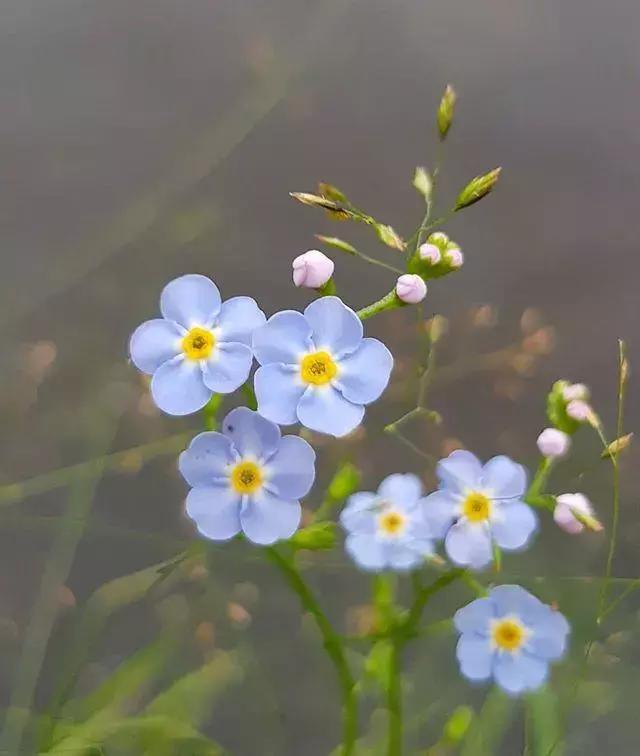 雨過天晴的唯美句子治癒心靈的優美句子真適合發朋友圈