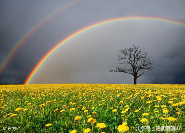 雨過天晴的唯美句子雨過天晴我從未見過如此唯美勵志充滿正能量的彩虹