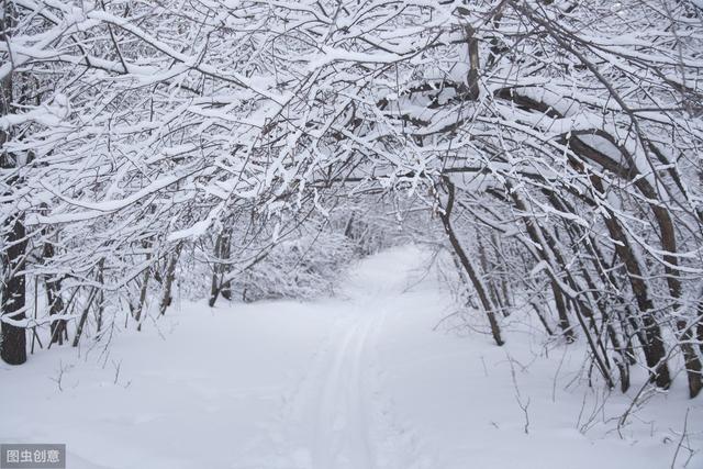 尋覓造句隨筆小雪尋覓