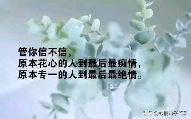 一句話簽名2019最火的一句話個性簽名穿透人心又短又精闢